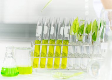 Yeşil bitkisel ilaç araştırma keşif aşı bilim Laboratuvarı