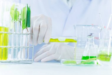 Yeşil bitkisel ilaç araştırma keşif aşı bilim Laboratuvarı