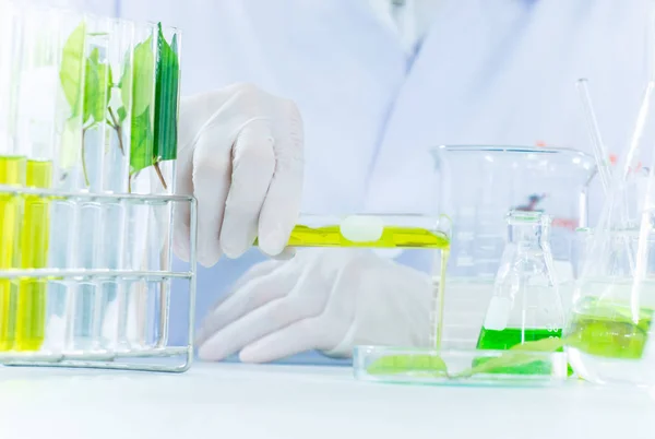 Vacuna Descubrimiento Investigación Medicina Herbal Verde Laboratorio Ciencia —  Fotos de Stock
