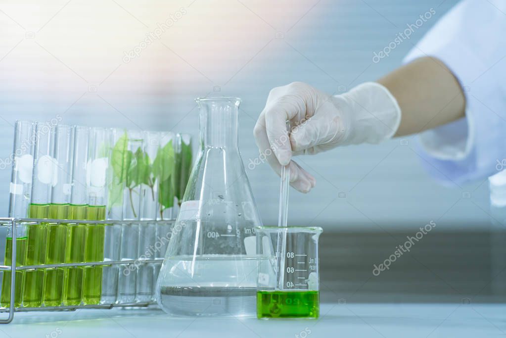 Plant sciences in lab