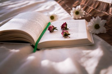  Kitabı oku. Bizim hayatımızda öğrenme.