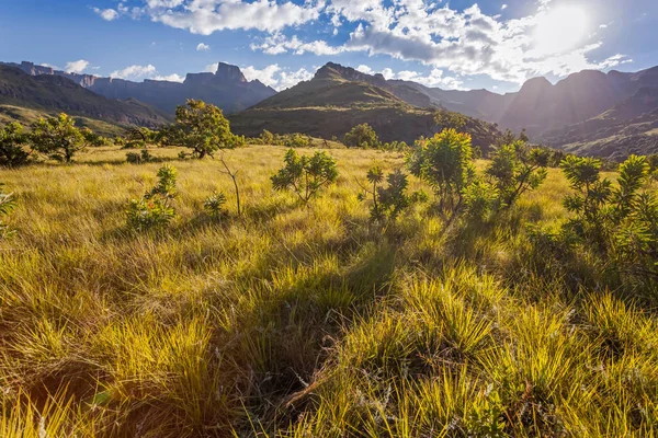 Paisaje Montaña Montañas Drakensburg Sudáfrica Senderismo Sudafricano — Foto de Stock