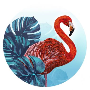 bir flamingo çizimi