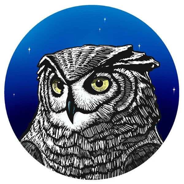 Owl Illustration Illustration Uggla Natten — Stockfoto