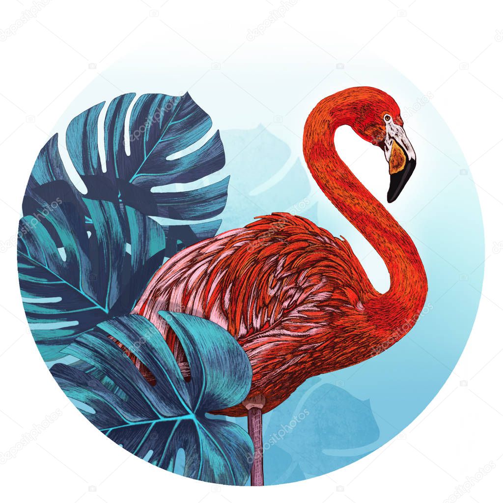 Illustration of a flamingo