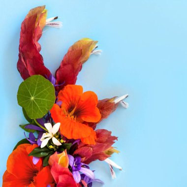 Çiçek aranjmanı renkli bir arka plana dayanır. Yüksek açılı görünüş.