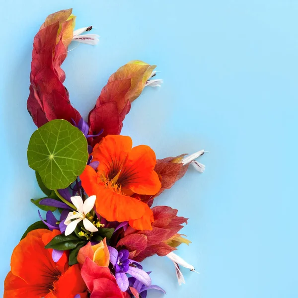 Çiçek aranjmanı renkli bir arka plana dayanır. Yüksek açılı görünüş.