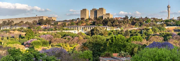 Suburbios de hoja que rodean Johannesburgo Imagen De Stock