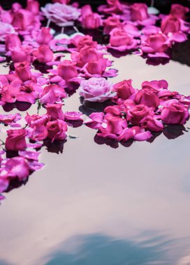 Suda süzülen gül yaprakları ve çiçekler.