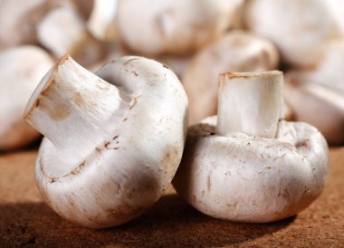 mantar champignon