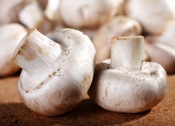 Fungo champignon — Foto Stock