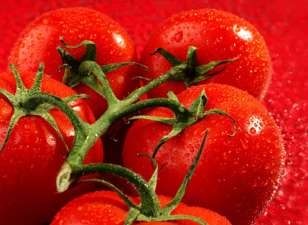 Frutos de tomate —  Fotos de Stock