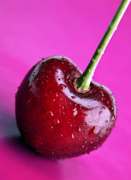 Cherry closeup — Stok Foto