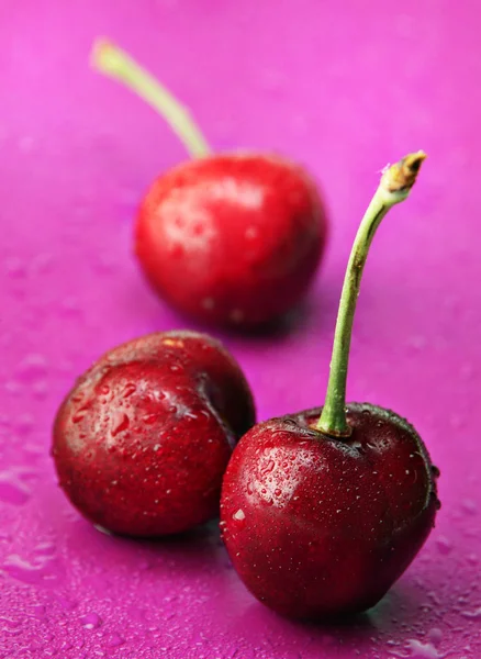 Cherry closeup — Stok Foto