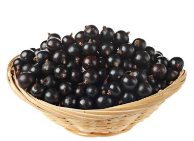 Siyah frenk üzümü