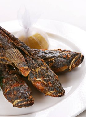 Karadeniz kaya balığı balık