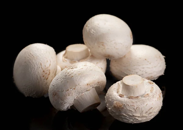 Fungo bianco — Foto Stock