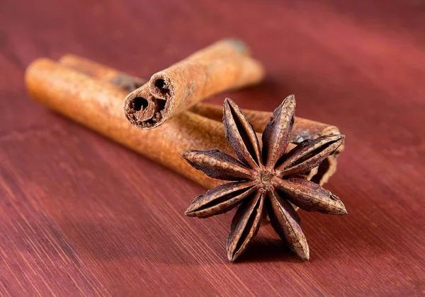 Stick of cinnamon with anise — Stock Photo, Image
