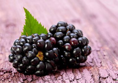 Böğürtlen meyve yaprak ile