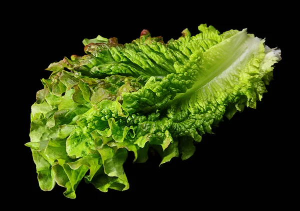 Salada de alface encaracolada em preto — Fotografia de Stock