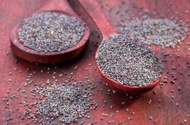 Kuru haşhaş tohumu