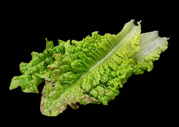 Salada de alface encaracolada em preto — Fotografia de Stock