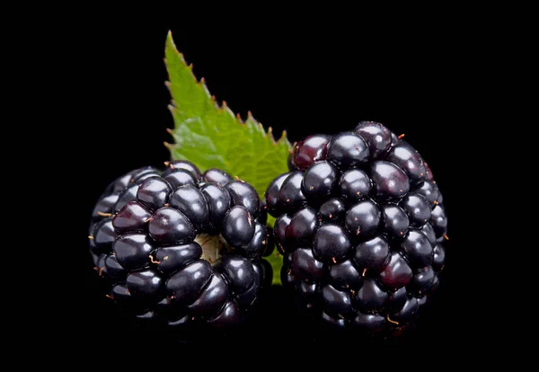 Jeżyna owoce na czarny — Zdjęcie stockowe