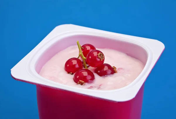 Йогурт с красной смородиной — стоковое фото
