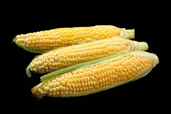 Nezpracovaná kukuřice detail — Stock fotografie