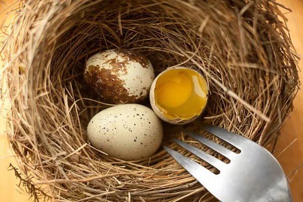 Jaja w gnieździe zbliżenie — Zdjęcie stockowe