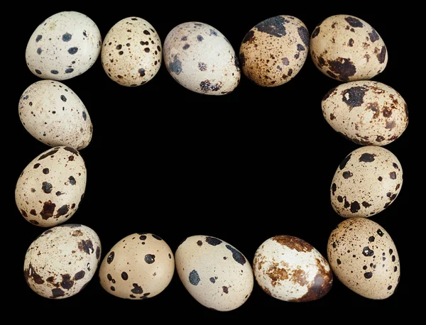 Quail eggs frame on black — Stock Photo, Image