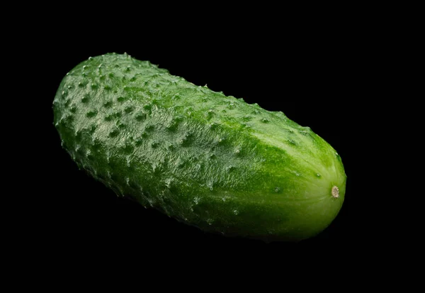 Pepino vegetal em preto — Fotografia de Stock