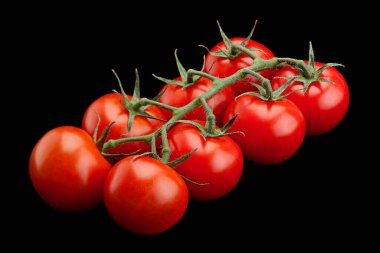 Siyah arka planda izole edilmiş bir domates demeti.