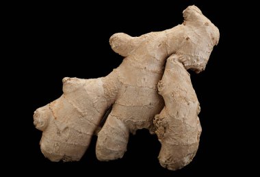 Zencefil baharat kökü siyah arkaplanda izole edildi