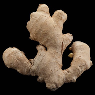 Zencefil baharat kökü siyah arkaplanda izole edildi