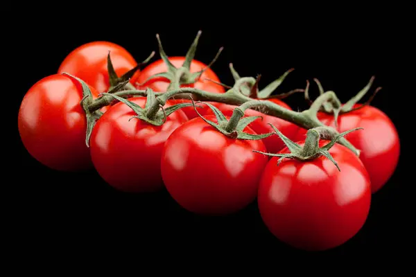 Manojo Tomate Cereza Primer Plano Aislado Sobre Fondo Negro —  Fotos de Stock