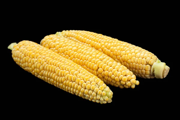 黑色背景的生甜玉米 — 图库照片