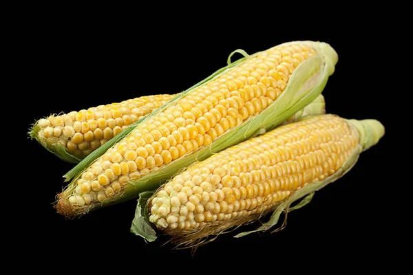 Nezpracovaná Kukuřice Izolované Černém Pozadí — Stock fotografie