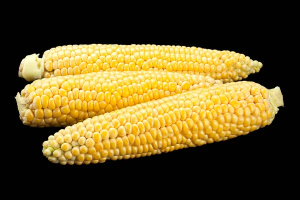 Nezpracovaná Kukuřice Izolované Černém Pozadí — Stock fotografie