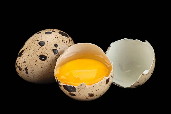 Bıldırcın Yumurta Portre Siyah Arka Plan Üzerine Izole — Stok fotoğraf
