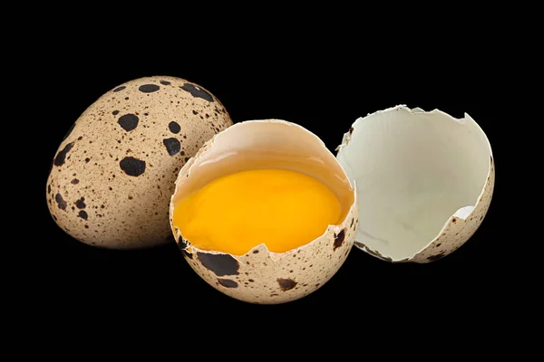 Uova Quaglia Primo Piano Isolato Sfondo Nero — Foto Stock