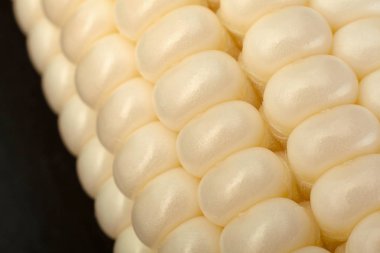 Beyaz mısır sebzesi, yakın plan mısır tohumları.