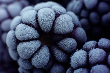 Böğürtlen dondurulmuş böğürtlen yakın plan