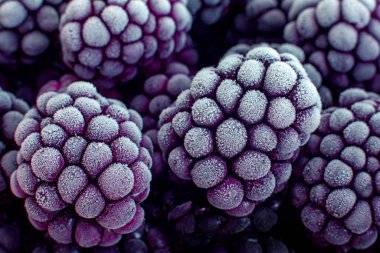 Böğürtlen dondurulmuş böğürtlen yakın plan