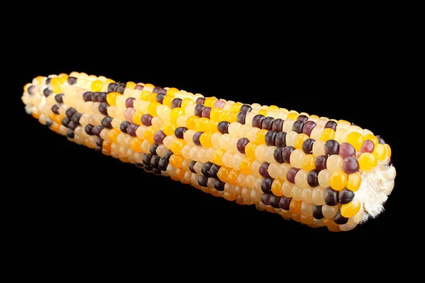 Malé Dekorativní Vícebarevné Kukuřice Semena Detailní Izolované Černé — Stock fotografie