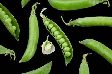 Bezelye sebze portre siyah arka plan üzerine izole