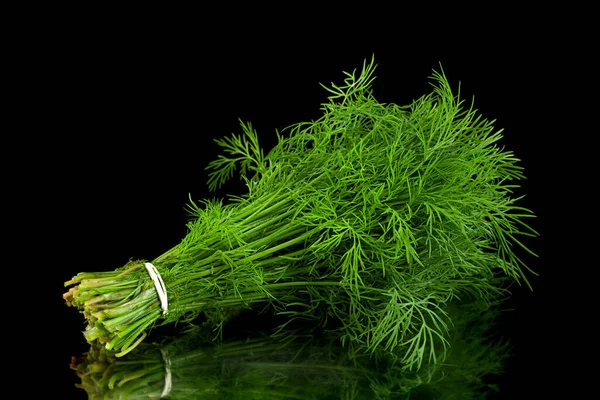 Dill Kruid Bos Geïsoleerd Zwarte Achtergrond — Stockfoto