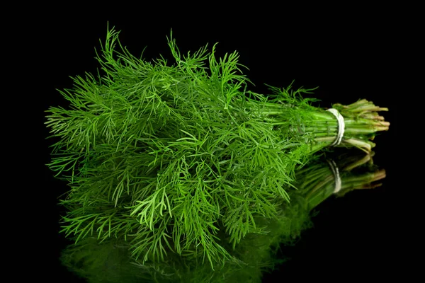 Dill Kruid Bos Geïsoleerd Zwarte Achtergrond — Stockfoto