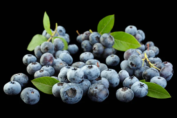 Blueberry Dengan Daun Tertutup Terisolasi Pada Latar Belakang Hitam — Stok Foto