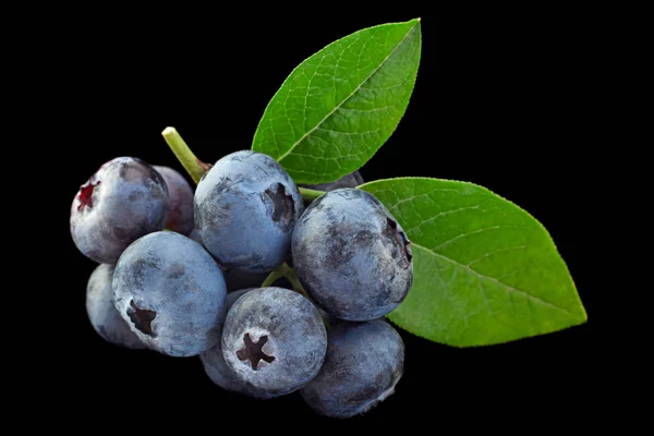 Blueberry Dengan Daun Tertutup Terisolasi Pada Latar Belakang Hitam — Stok Foto